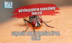 Büyükşehir'in Karasinek İhalesi Geçersiz Teklif Nedeniyle İptal Edildi