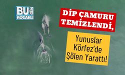 Dip Çamuru Temizlendi, Yunuslar Körfez’de Şölen Yarattı!
