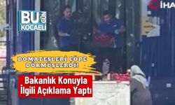 Domatesleri Çöpe Dökmüşlerdi! Bakanlık Konuyla İlgili Açıklama Yaptı