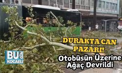 Durakta Can Pazarı! Otobüsün Üzerine Ağaç Devrildi