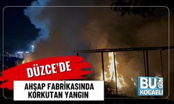 Düzce’de Ahşap Fabrikasında Korkutan Yangın