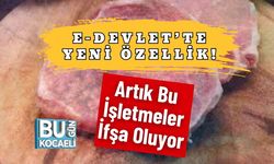 e-Devlet’te Yeni Özellik! Artık Bu İşletmeler İfşa Oluyor