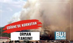 Edirne’de Korkutan Orman Yangını!