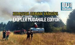 Komşuda Orman Yangını: Ekipler Müdahale Ediyor