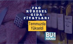 FAO: Küresel Gıda Fiyatları Temmuzda Yükseldi