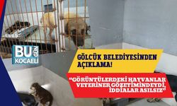 Gölcük Belediyesi'nden Açıklama: “Görüntülerdeki Hayvanlar Veteriner Gözetimindeydi, İddialar Asılsız”