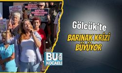 Gölcük’te Barınak Krizi Büyüyor