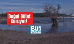 Doğal Gölet Kuruyor!