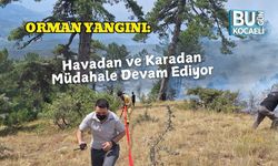 Orman Yangını: Havadan ve Karadan Müdahale Devam Ediyor