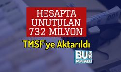 Hesapta Unutulan 732 Milyon TMSF’ye Aktarıldı