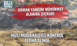 Orman Yangını Mühimmat Alanına Sıçradı, Hızlı Müdahaleyle Kontrol Altına Alındı