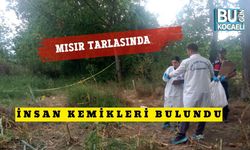 Mısır Tarlasında İnsan Kemikleri Bulundu