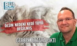 Ölüm Nedeni Kedi Tüyü Değilmiş: Gerçek Ortaya Çıktı