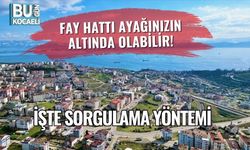 Fay Hattı Ayağınızın Altında Olabilir! İşte Sorgulama Yöntemi