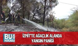 İzmit'te Ağaçlık Alanda Yangın Paniği
