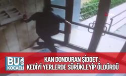 Kan Donduran Şiddet: Kediyi Yerlerde Sürükleyip Öldürdü
