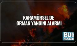 Karamürsel’de Orman Yangını Alarmı