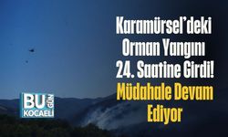 Karamürsel’deki Orman Yangını 24. Saatine Girdi! Müdahale Devam Ediyor