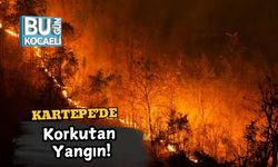 Kartepe’de Korkutan Yangın!