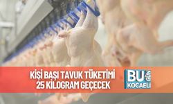 Kişi Başı Tavuk Tüketimi 25 Kilogram Geçecek