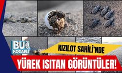 Kızılot Sahili’nde Yürek Isıtan Görüntüler!