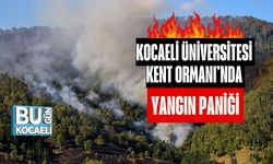 Kocaeli Üniversitesi Kent Ormanı’nda Yangın Paniği