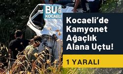 Kocaeli’de Kamyonet Ağaçlık Alana Uçtu! 1 Yaralı