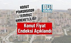 Konut Piyasasında Temmuz Hareketliliği! Konut Fiyat Endeksi Açıklandı