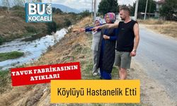 Tavuk Fabrikasının Atıkları Köylüyü Hastanelik Etti