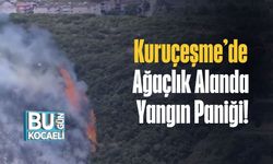 Kuruçeşme’de Ağaçlık Alanda Yangın Paniği!