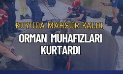 Kuyuda Mahsur Kaldı, Orman Muhafızları Kurtardı