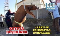 Kuyuya Düşen İnek 2 Saatlik Çalışmayla Kurtarıldı