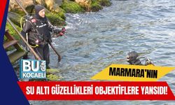 Marmara’nın Su Altı Güzellikleri Objektiflere Yansıdı!