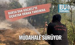 Bursa’dan Kocaeli’ye Sıçrayan Orman Yangınına Müdahale Sürüyor