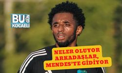 Neler Oluyor Arkadaşlar, Mendes’te Gidiyor