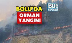 Bolu’da Orman Yangını