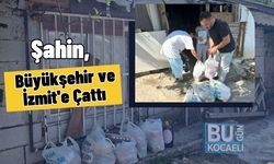 Şahin, Büyükşehir ve İzmit'e Çattı