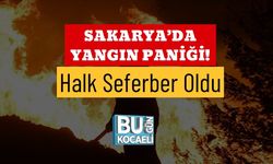 Sakarya’da Yangın Paniği! Halk Seferber Oldu