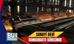 Sanayi Devi Konkordato Sürecinde
