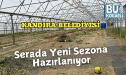 Kandıra Belediyesi Serada Yeni Sezona Hazırlanıyor