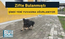 Zifte Bulanmıştı, Şimdi Yeni Yuvasına Uğurlanıyor