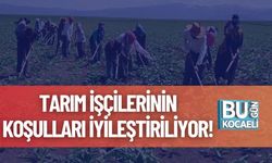 Tarım İşçilerinin Koşulları İyileştiriliyor!