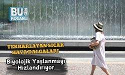 Tekrarlayan Sıcak Hava Dalgaları Biyolojik Yaşlanmayı Hızlandırıyor