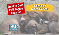 İzmit’te Dost Pati Yaşam Alanı’nın Temeli Atılıyor!