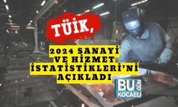 TÜİK, 2024 Sanayi ve Hizmet İstatistikleri’ni Açıkladı