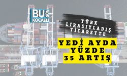 Türk Lirasıyla Dış Ticarette Yedi Ayda Yüzde 35 Artış