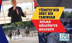Türkiye’nin Dört Bir Yanından Atlar Gölcük’te Buluştu