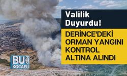 Valilik Duyurdu! Derince’deki Orman Yangını Kontrol Altına Alındı