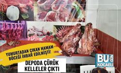Yumurtadan Çıkan Hamam Böceği İhbar Edilmişti! Depoda Çürük Kelleler Çıktı