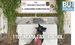Uyuşturucu Operasyonu: 1 Tutuklama, 1 Adli Kontrol